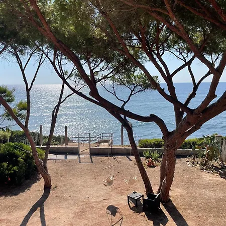 Alex On The With Sea View Σπίτι διακοπών Fox E Sali-monte Agumu